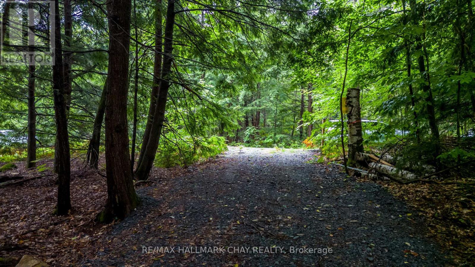 35 Little Long Lake Road, Muskoka Lakes (Cardwell), Ontario  P0C 1J0 - Photo 9 - X12995374