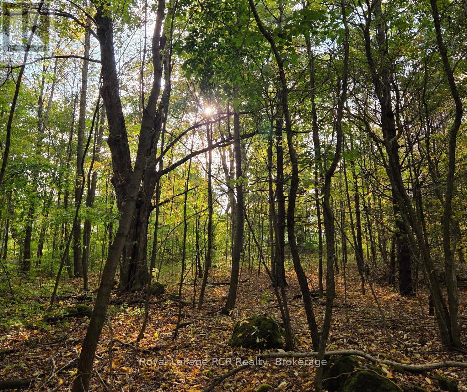 NA-SIMPSON, Grey-Highlands