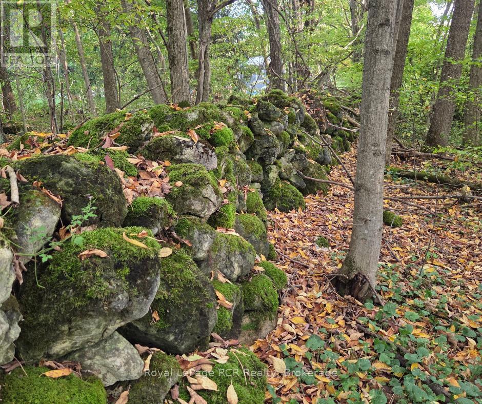 N/a Simpson, Grey Highlands, Ontario  N0C 1E0 - Photo 2 - X12995580