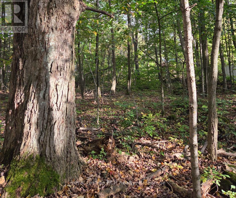 N/a Simpson, Grey Highlands, Ontario  N0C 1E0 - Photo 4 - X12995580