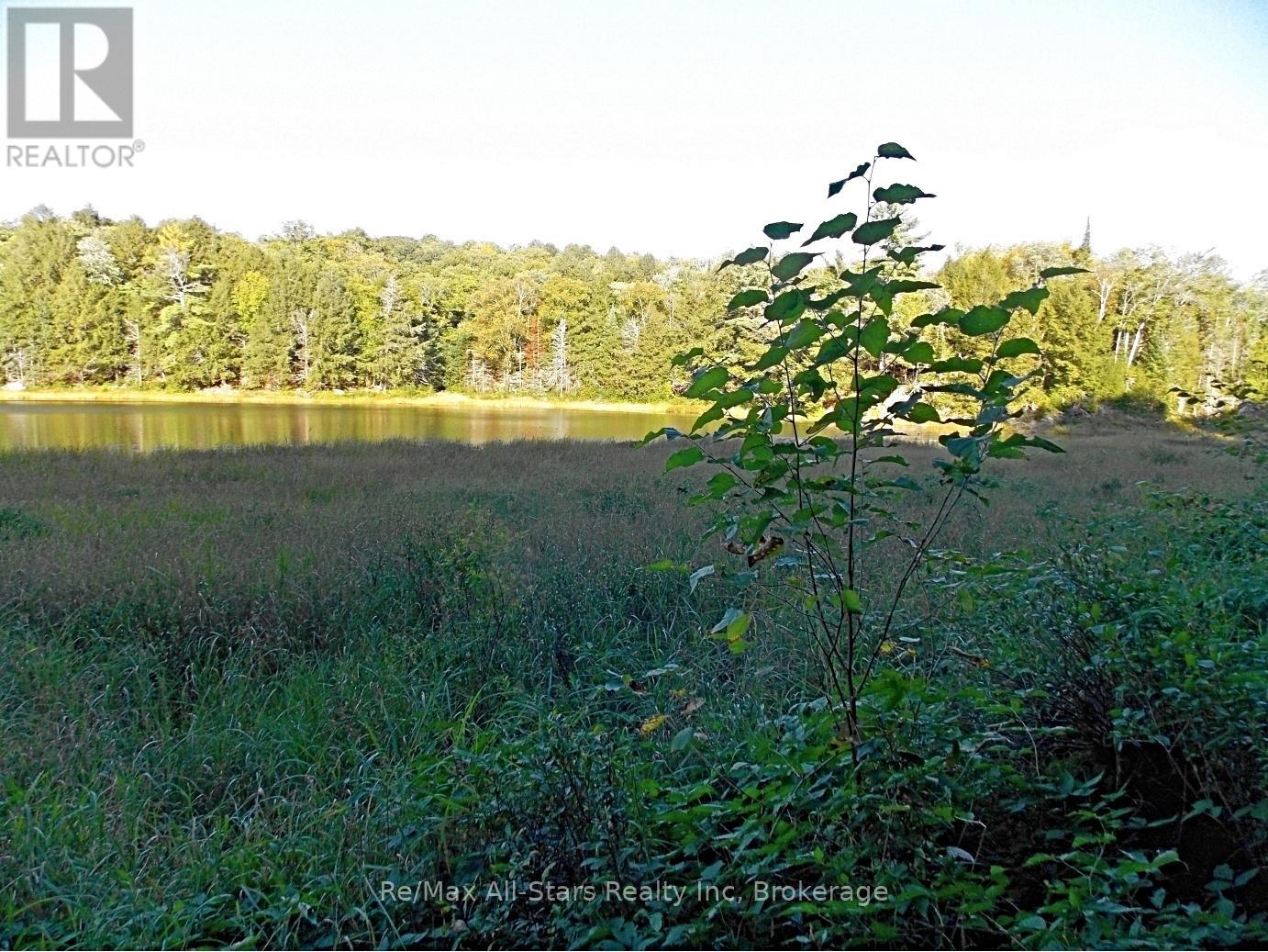 0 Angle Road, Lake Of Bays, Ontario  P0A 1H0 - Photo 10 - X12995702