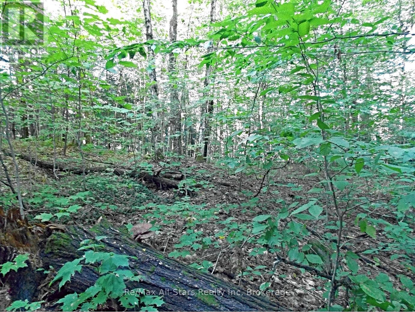 0 Angle Road, Lake Of Bays, Ontario  P0A 1H0 - Photo 7 - X12995702