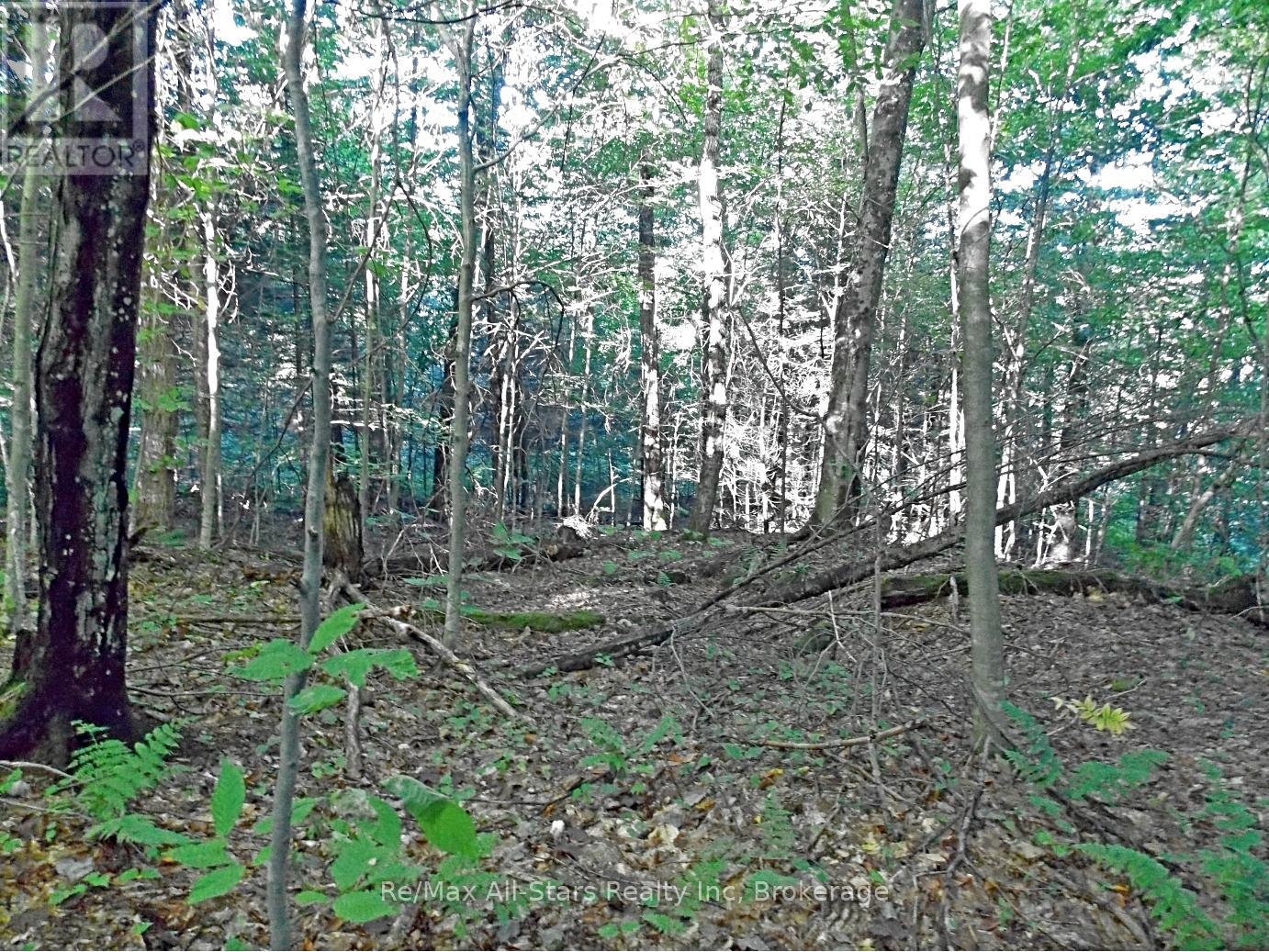 0 Angle Road, Lake Of Bays, Ontario  P0A 1H0 - Photo 8 - X12995702