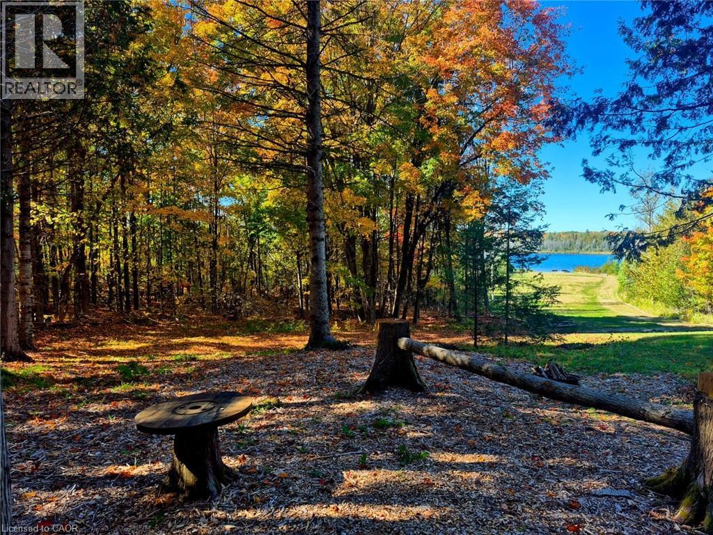 1719 Weslemkoon Lake Road, Gilmour, Ontario  K0L 1W0 - Photo 46 - 40820435