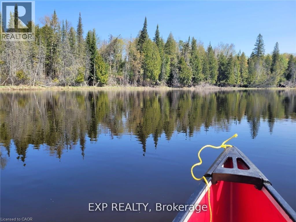 1719 Weslemkoon Lake Road, Gilmour, Ontario  K0L 1W0 - Photo 6 - 40820435