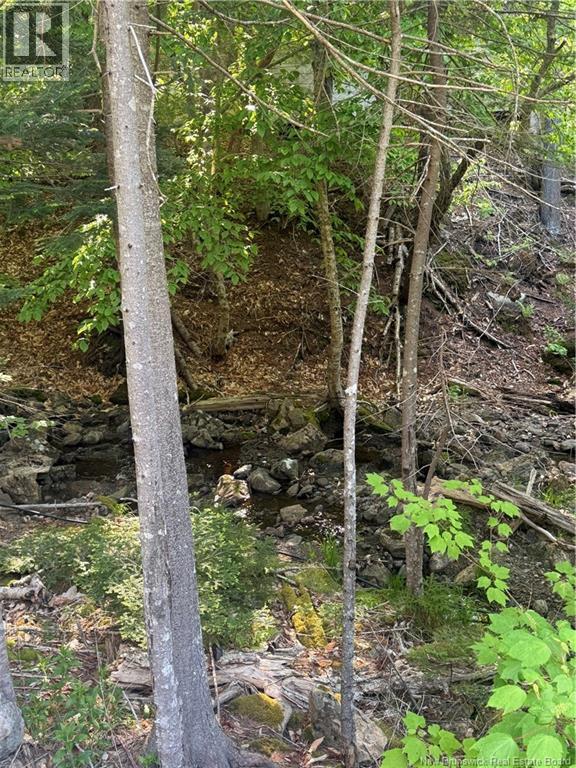 15 Foley Lane, Summerville, New Brunswick  E5S 1B7 - Photo 11 - NB136750