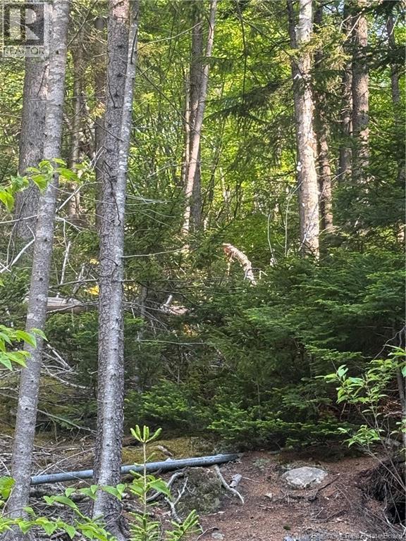 15 Foley Lane, Summerville, New Brunswick  E5S 1B7 - Photo 12 - NB136750