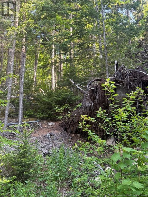 15 Foley Lane, Summerville, New Brunswick  E5S 1B7 - Photo 13 - NB136750