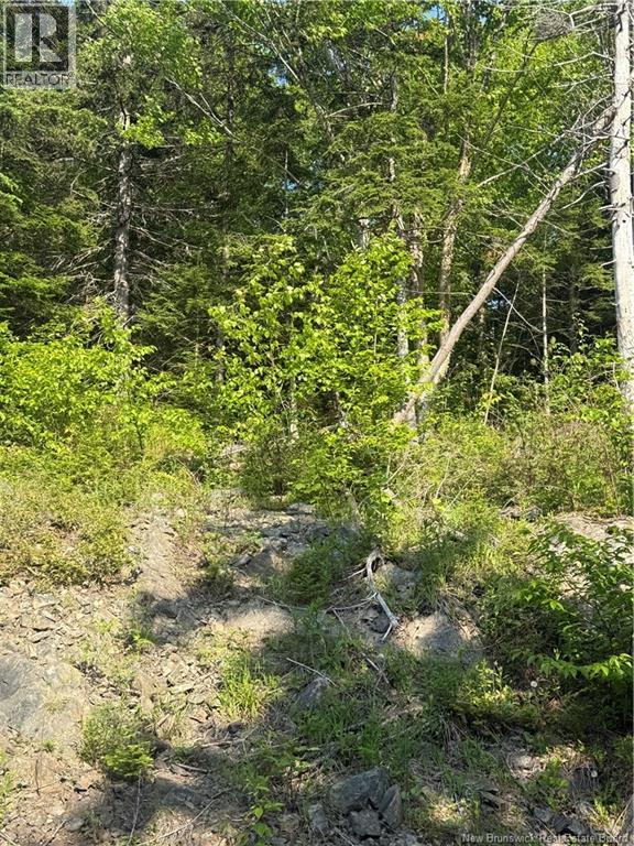 15 Foley Lane, Summerville, New Brunswick  E5S 1B7 - Photo 14 - NB136750
