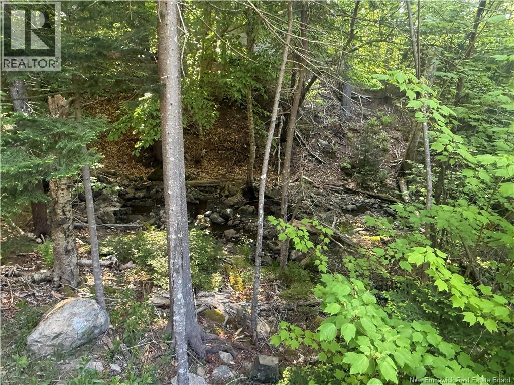 15 Foley Lane, Summerville, New Brunswick  E5S 1B7 - Photo 2 - NB136750