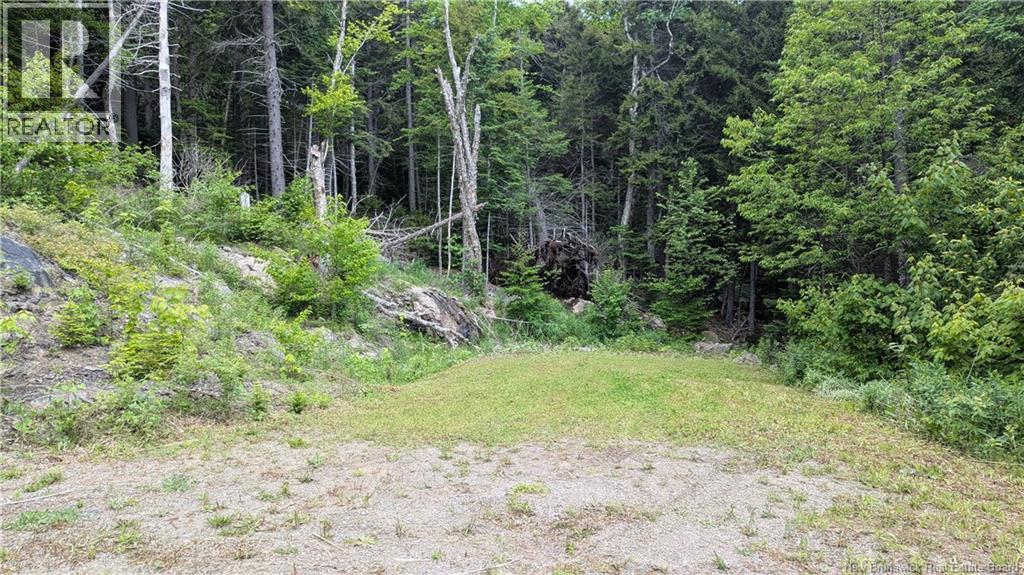 15 Foley Lane, Summerville, New Brunswick  E5S 1B7 - Photo 6 - NB136750