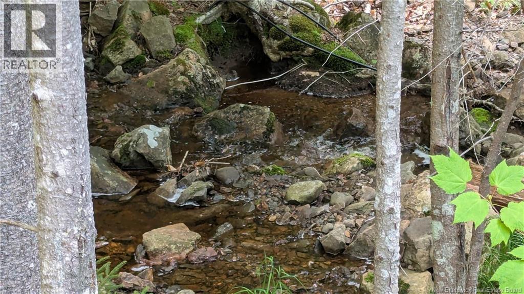 15 Foley Lane, Summerville, New Brunswick  E5S 1B7 - Photo 7 - NB136750