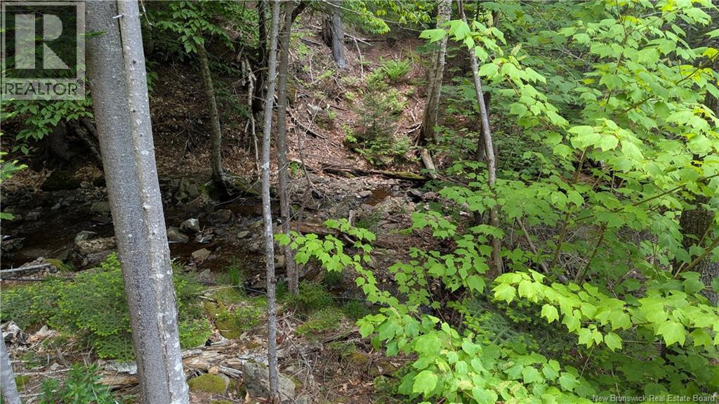 15 Foley Lane, Summerville, New Brunswick  E5S 1B7 - Photo 8 - NB136750