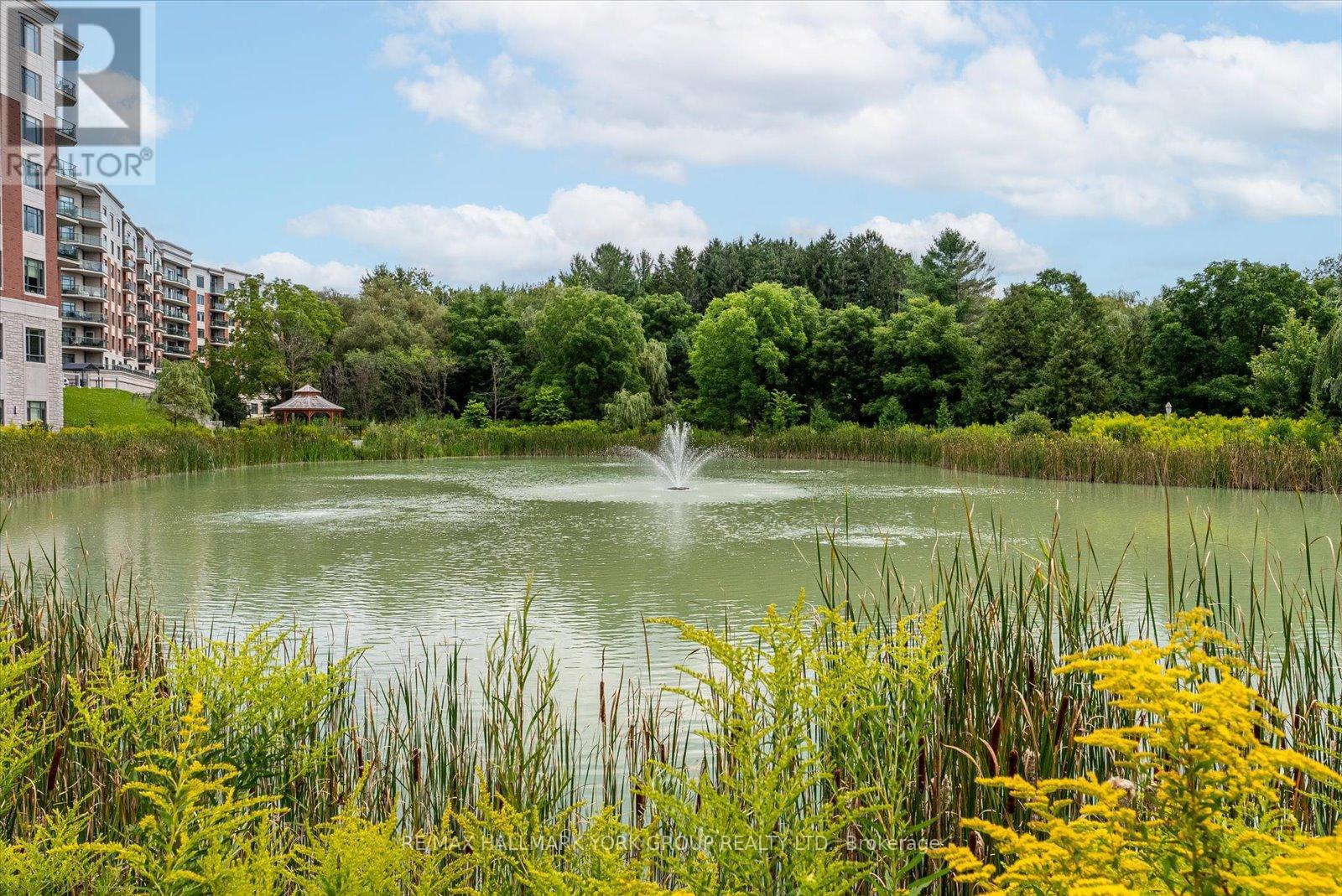 116 - 460 William Graham Drive, Aurora, Ontario  L4G 1X9 - Photo 50 - N12995584