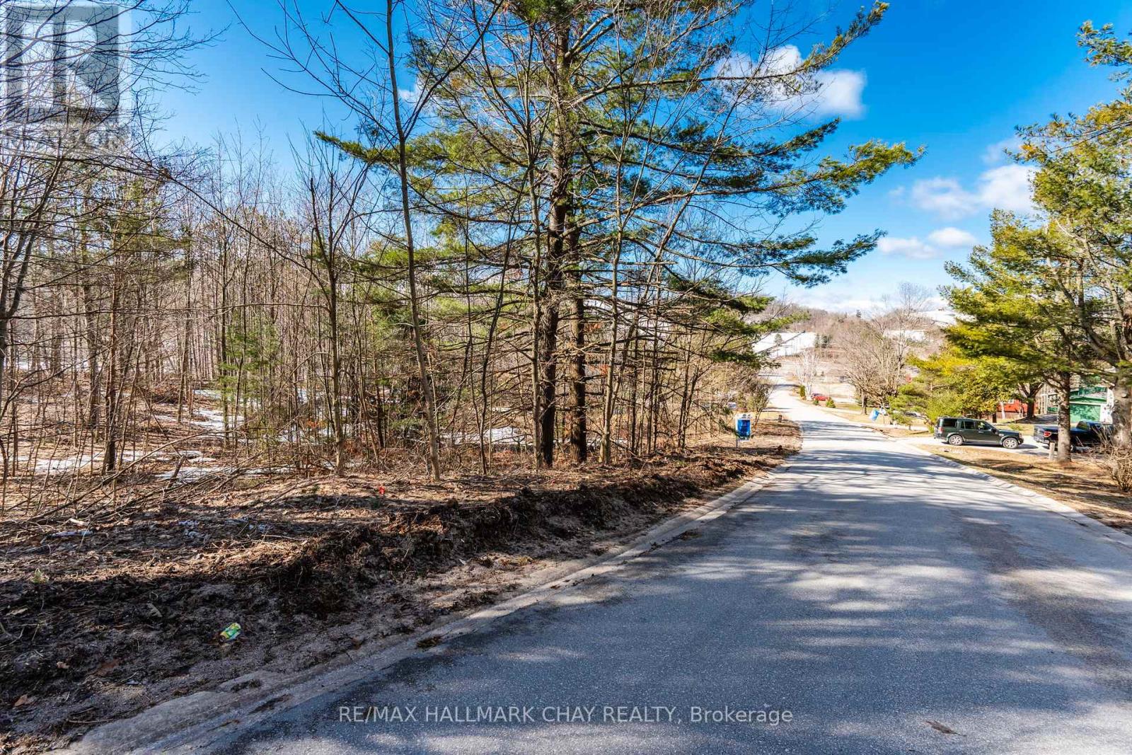 19 Birch Grove Drive, Oro-Medonte, Ontario  L0L 2L0 - Photo 3 - S12995486