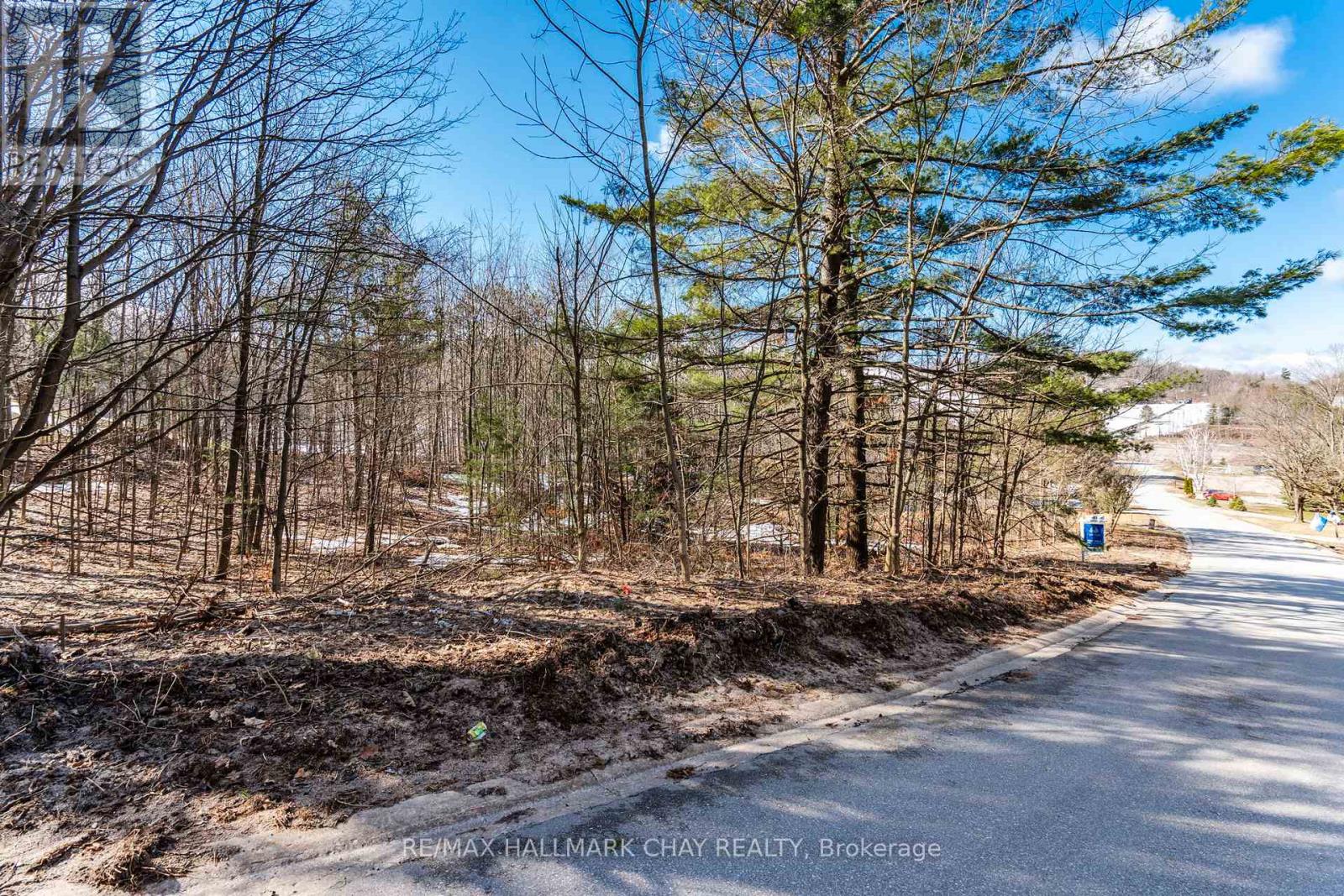 19 Birch Grove Drive, Oro-Medonte, Ontario  L0L 2L0 - Photo 4 - S12995486