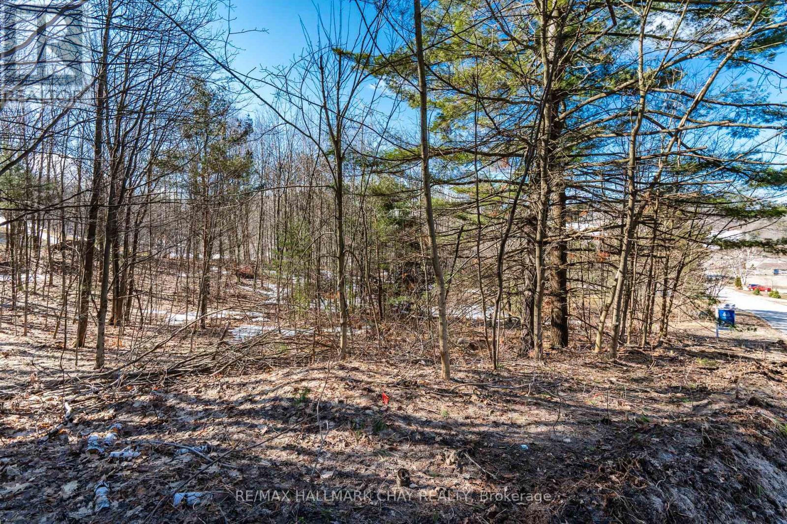 19 Birch Grove Drive, Oro-Medonte, Ontario  L0L 2L0 - Photo 5 - S12995486