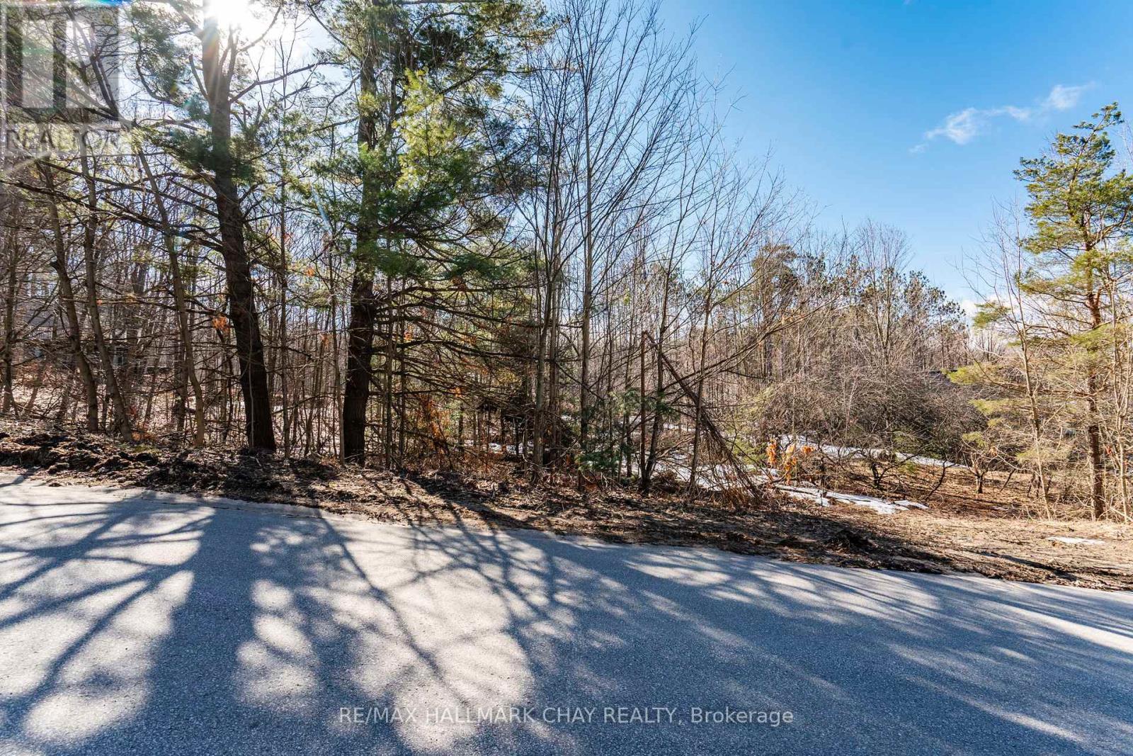 19 Birch Grove Drive, Oro-Medonte, Ontario  L0L 2L0 - Photo 6 - S12995486