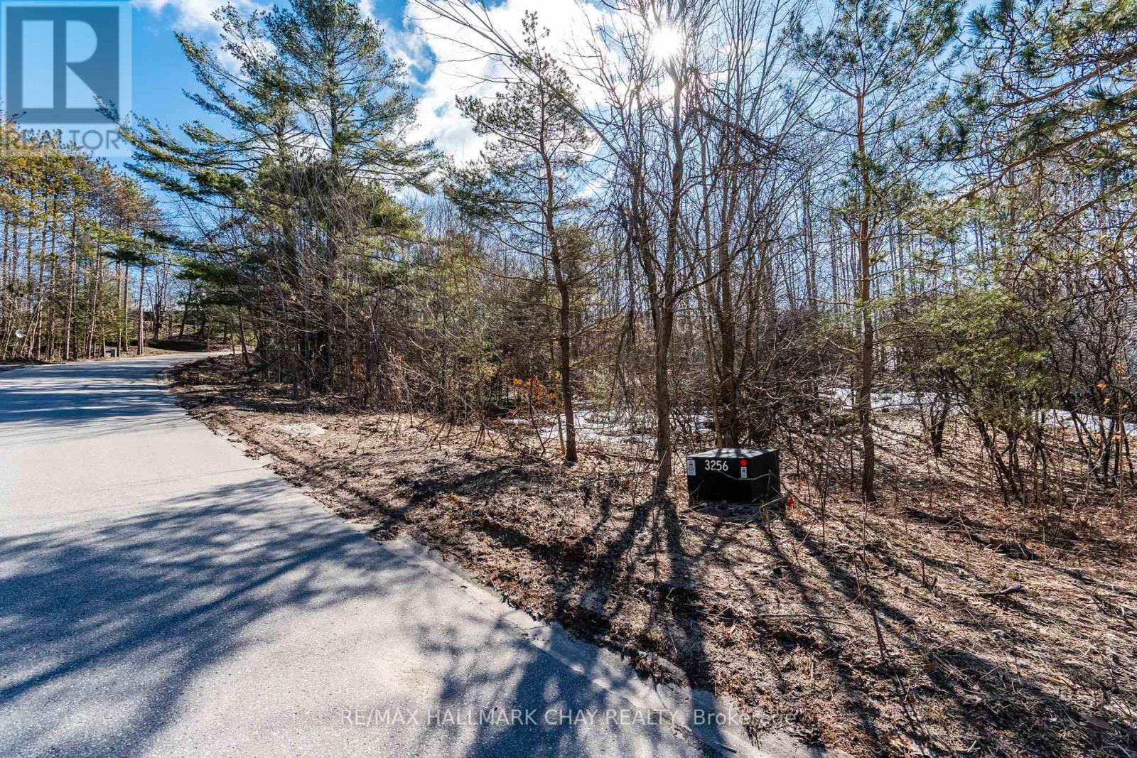 19 Birch Grove Drive, Oro-Medonte, Ontario  L0L 2L0 - Photo 7 - S12995486