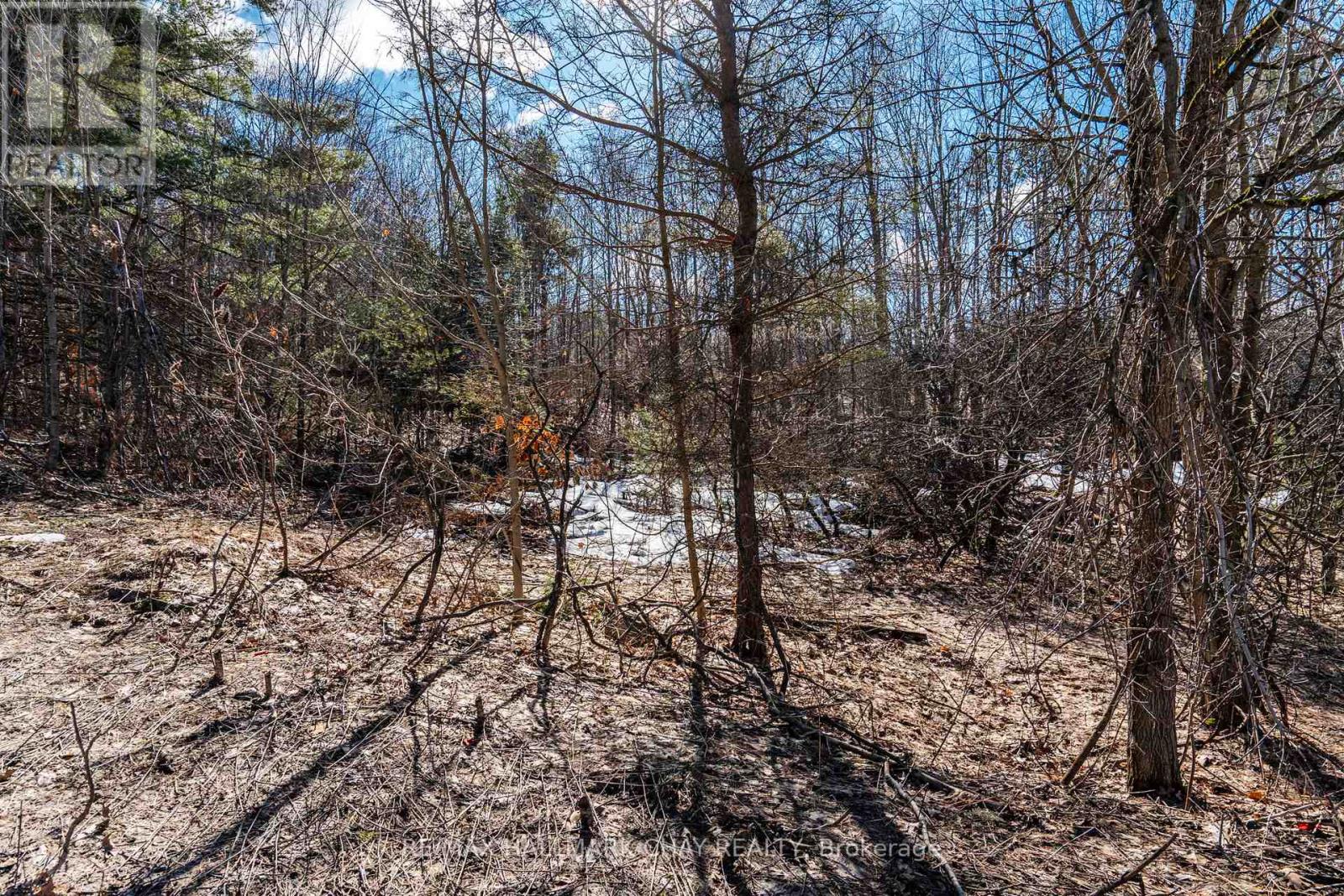 19 Birch Grove Drive, Oro-Medonte, Ontario  L0L 2L0 - Photo 8 - S12995486