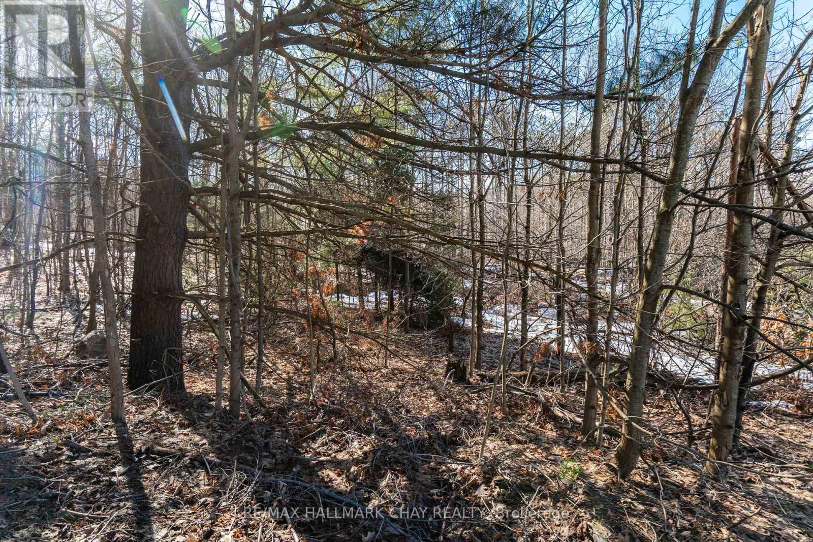 19 Birch Grove Drive, Oro-Medonte, Ontario  L0L 2L0 - Photo 9 - S12995486