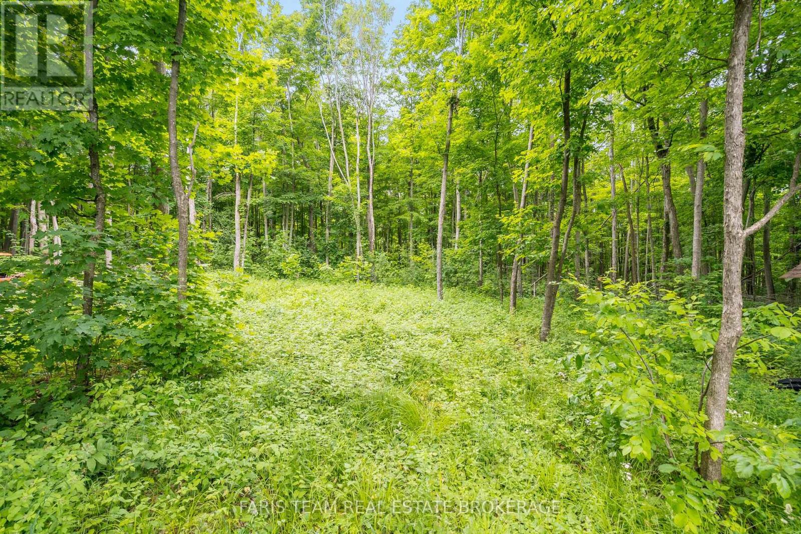 365 Robins Point Road, Tay, Ontario  L0K 2A0 - Photo 20 - S12995572