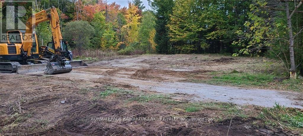 7545 Highway 35, Kawartha Lakes, Ontario  K0M 2L0 - Photo 6 - X12995858