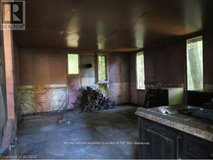 7545 Highway 35, Kawartha Lakes, Ontario  K0M 2L0 - Photo 7 - X12995858