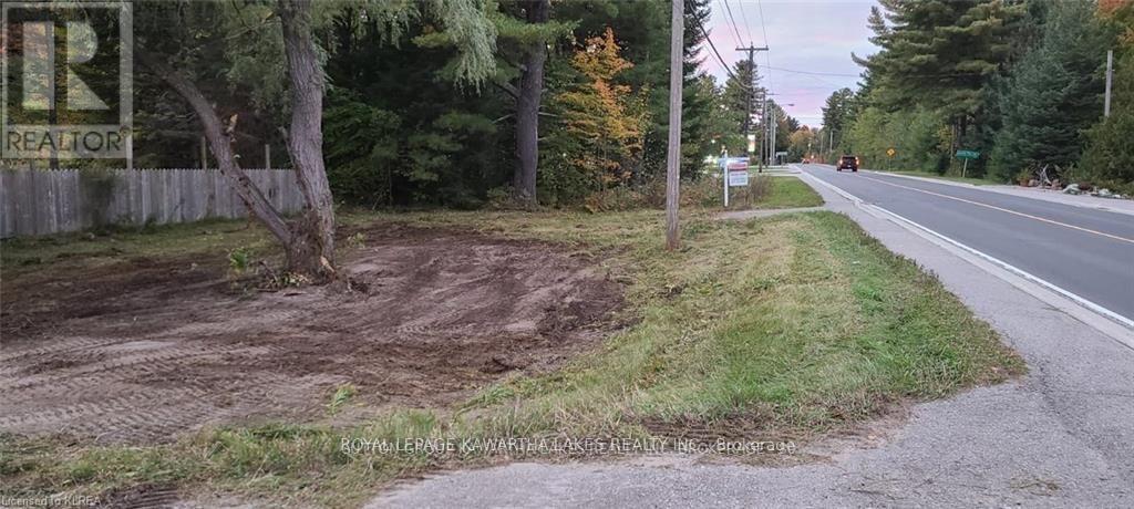 7545 Highway 35, Kawartha Lakes, Ontario  K0M 2L0 - Photo 8 - X12995858