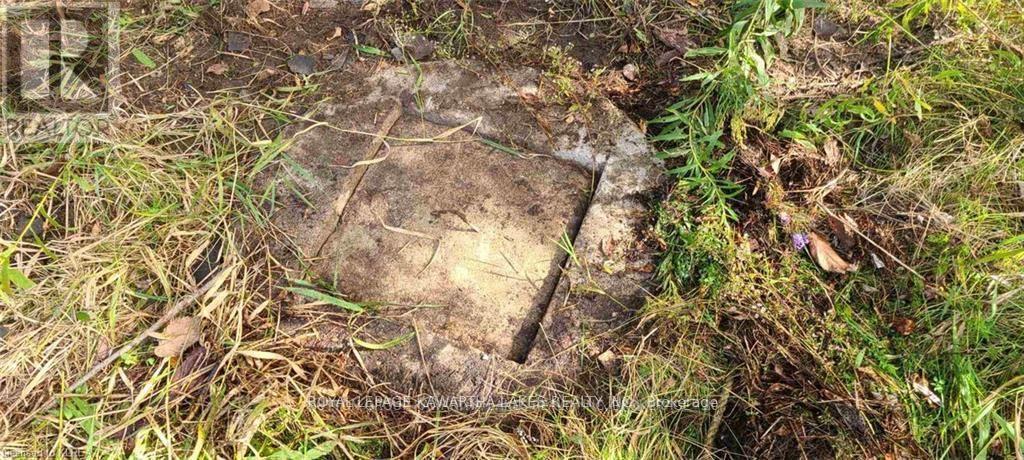 7545 Highway 35, Kawartha Lakes, Ontario  K0M 2L0 - Photo 9 - X12995858