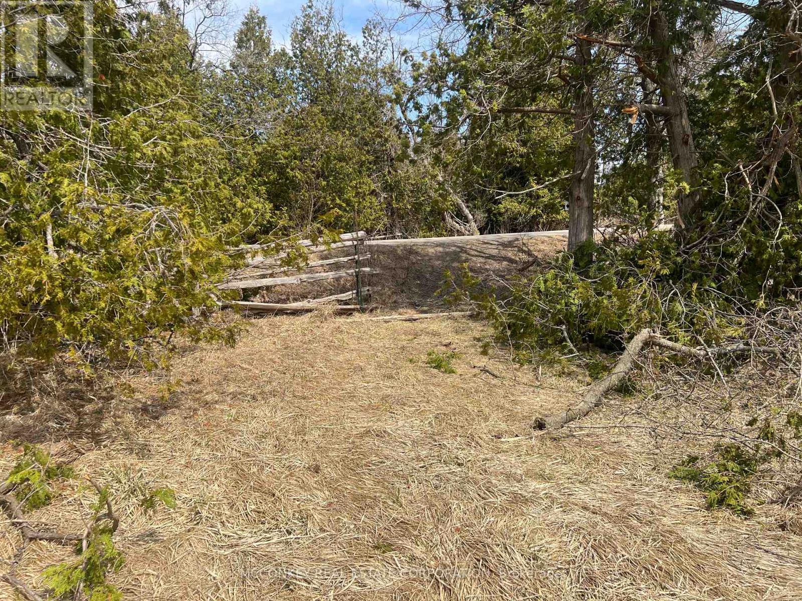 00 Concession Road 13 E, Trent Hills, Ontario K0L 1Y0 - Photo 13 - X12995864