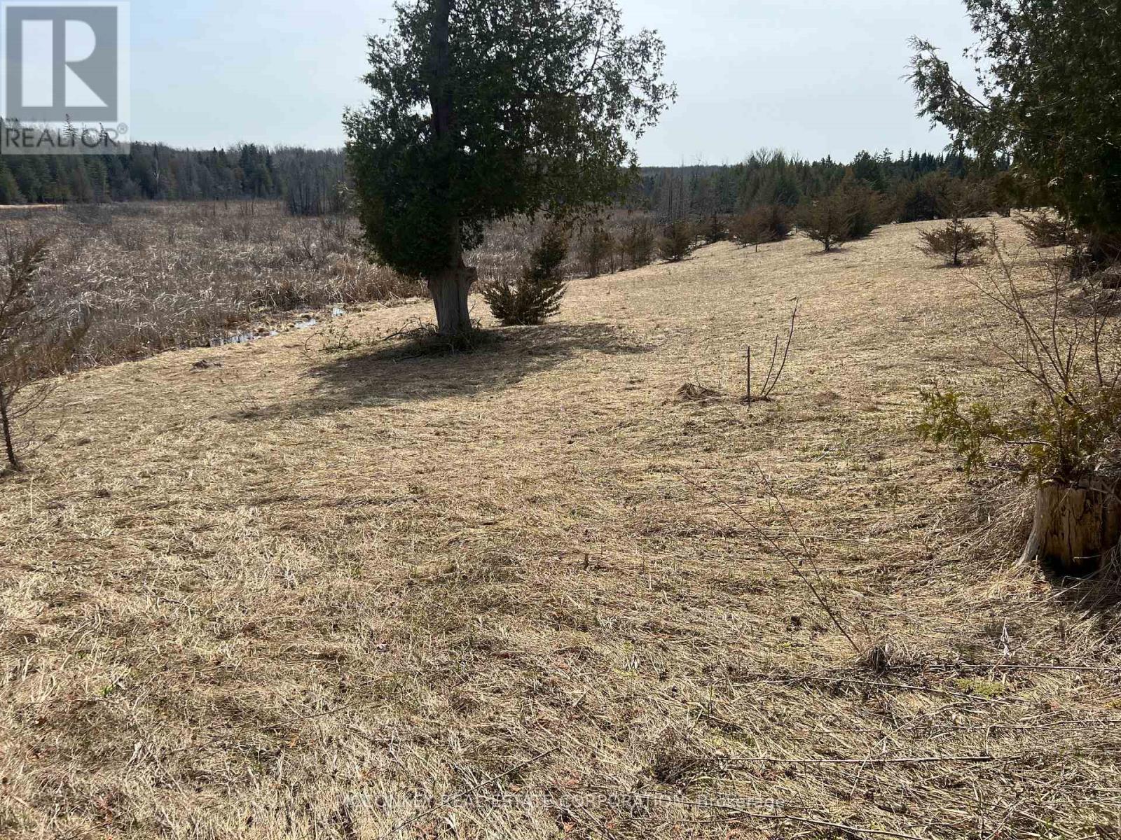 00 Concession Road 13 E, Trent Hills, Ontario K0L 1Y0 - Photo 4 - X12995864