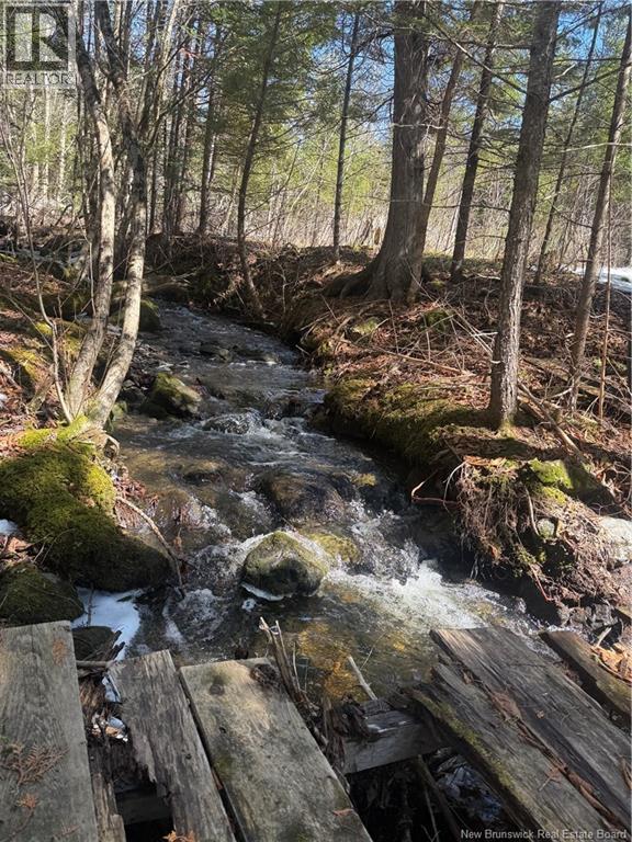 211 Campbell Settlement Road, Rossville, New Brunswick  E6G 1Z2 - Photo 19 - NB134995