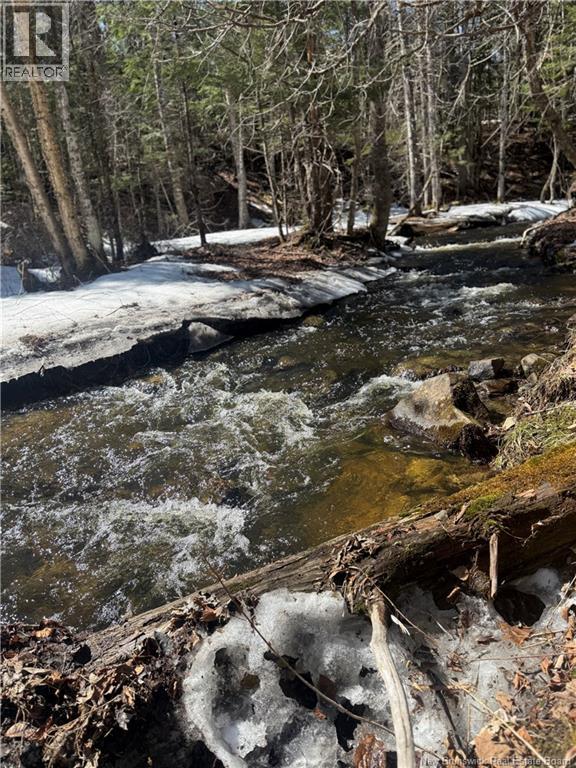 211 Campbell Settlement Road, Rossville, New Brunswick  E6G 1Z2 - Photo 16 - NB134995