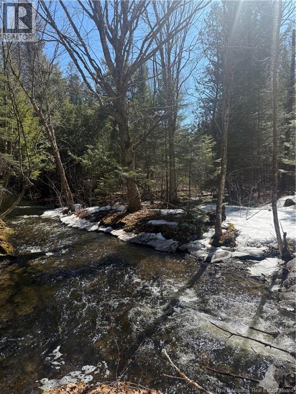 211 Campbell Settlement Road, Rossville, New Brunswick  E6G 1Z2 - Photo 18 - NB134995