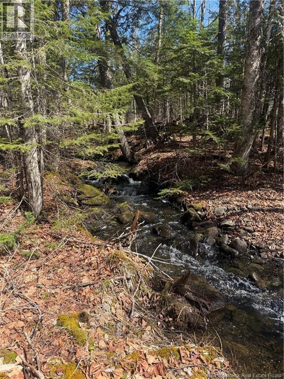 211 Campbell Settlement Road, Rossville, New Brunswick  E6G 1Z2 - Photo 17 - NB134995