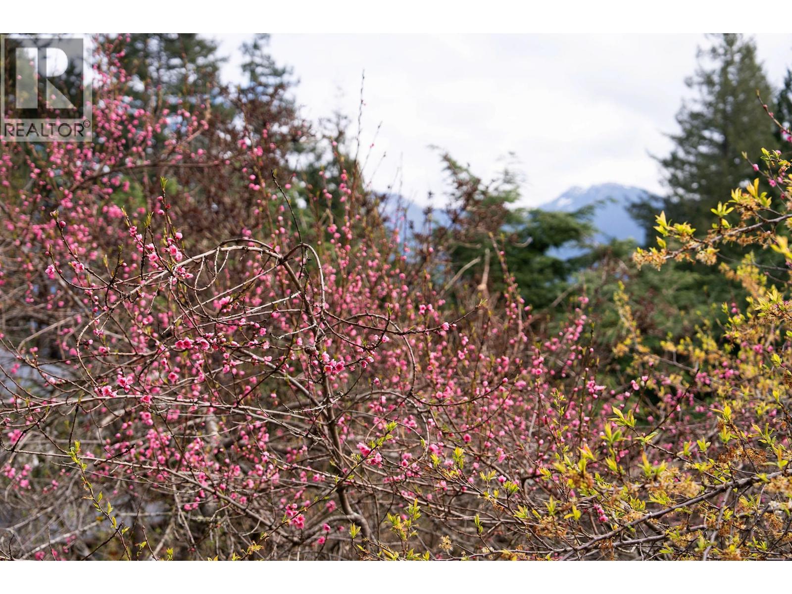 1347 Eagle Cliff Road, Bowen Island, British Columbia  V0N 1G1 - Photo 16 - R3111069
