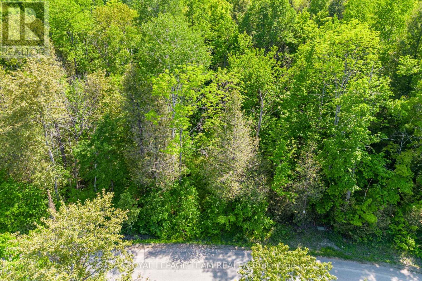 01 Mink Lake Road, North Algona Wilberforce, Ontario K0J 1T0 - Photo 9 - X12647946