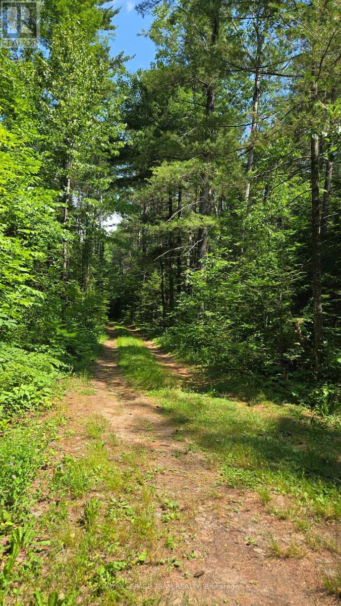 00 (31253) Highway 41 Highway, Bonnechere Valley, Ontario K0J 1T0 - Photo 15 - X12849948