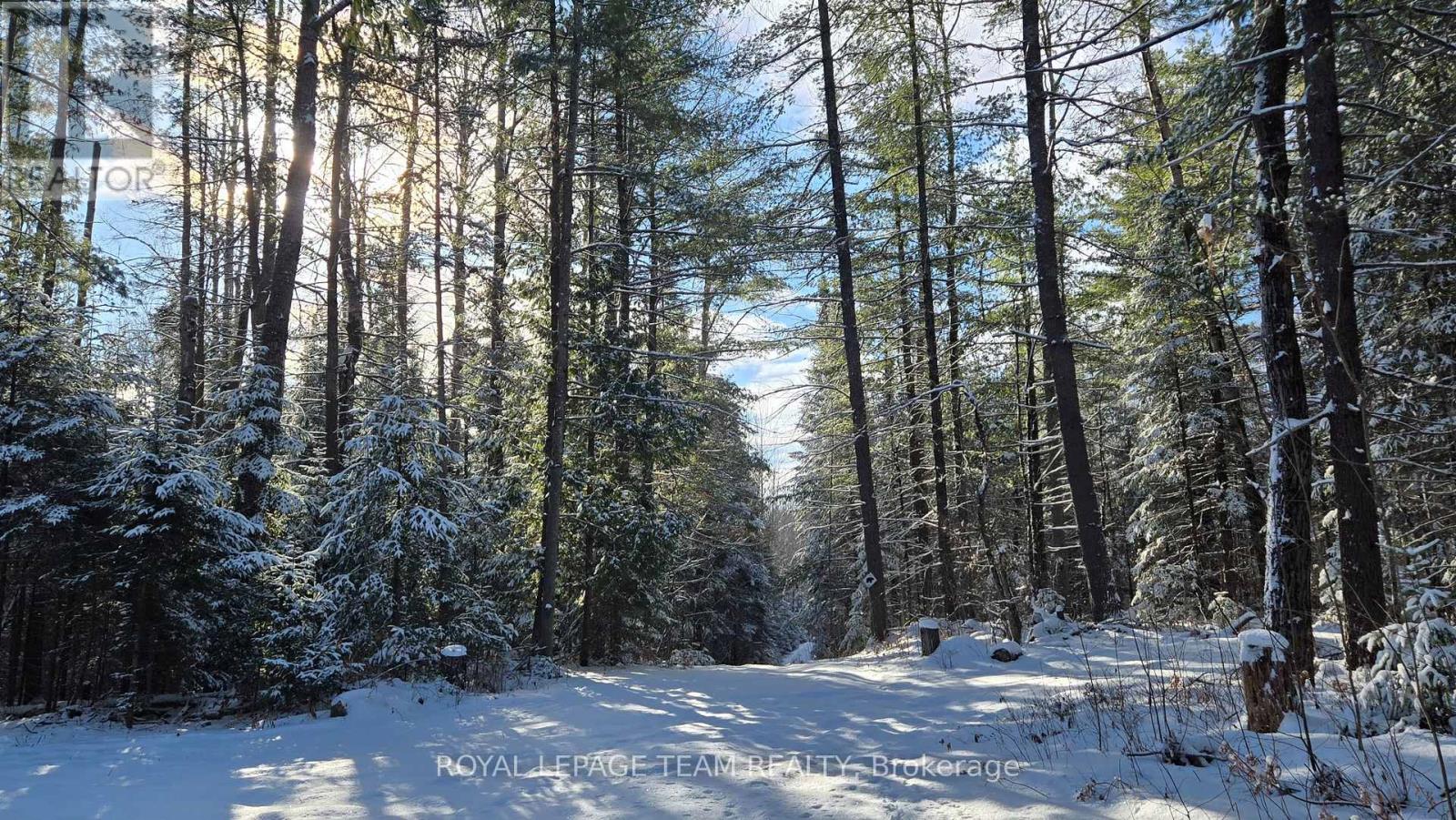 00 (31253) Highway 41 Highway, Bonnechere Valley, Ontario K0J 1T0 - Photo 19 - X12849948