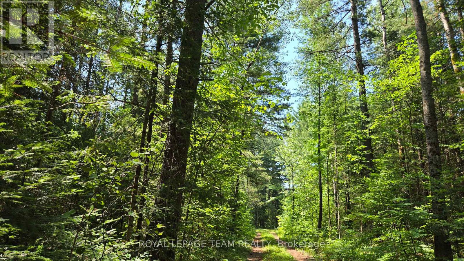 00 (31253) Highway 41 Highway, Bonnechere Valley, Ontario K0J 1T0 - Photo 5 - X12849948