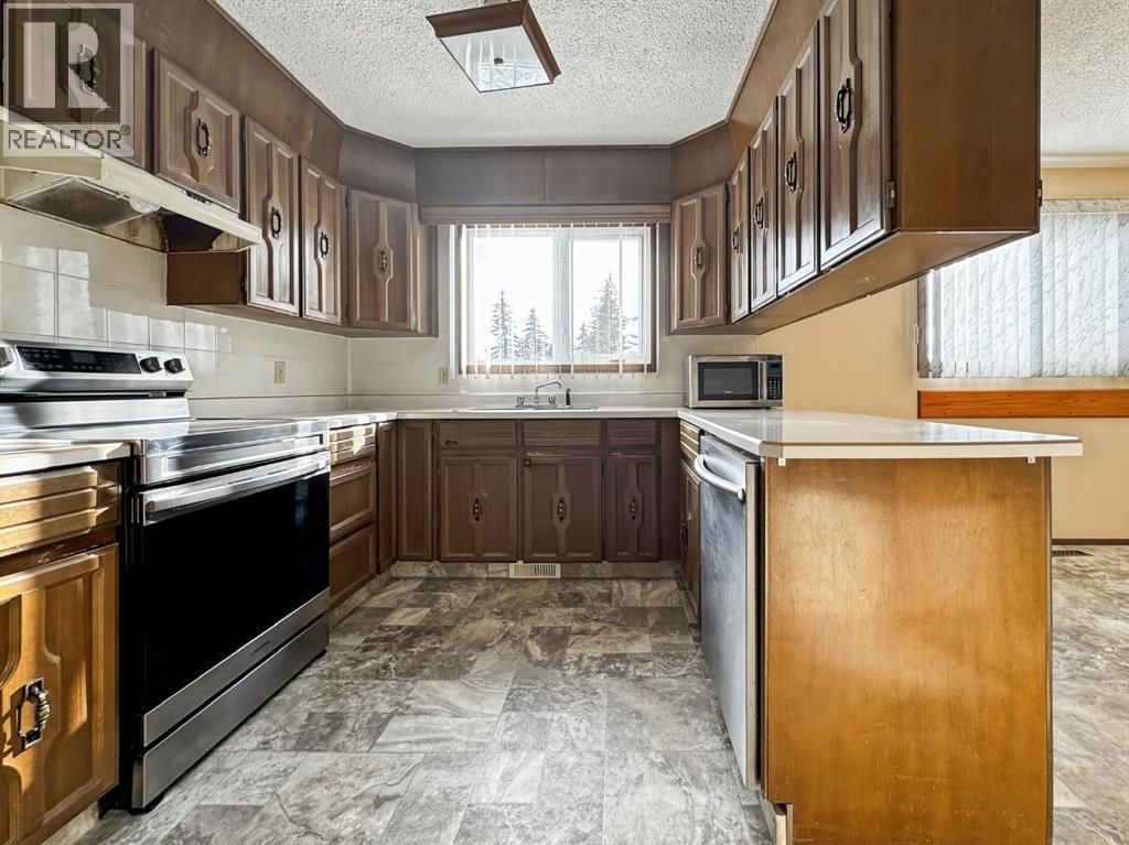 4504 45 Street, Mayerthorpe, Alberta  T0E 1N0 - Photo 6 - A2288706