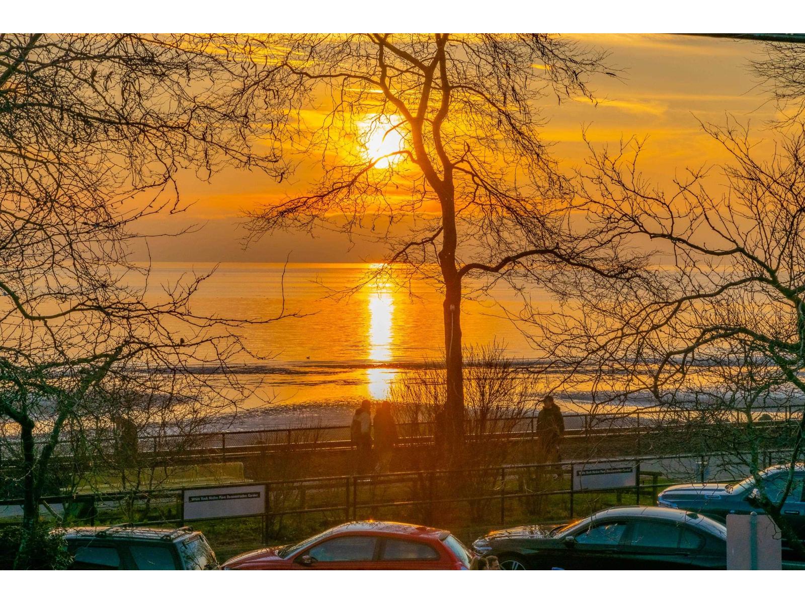 1339 132b Street, Surrey, British Columbia V4A 4C2 - Photo 39 - R3110251