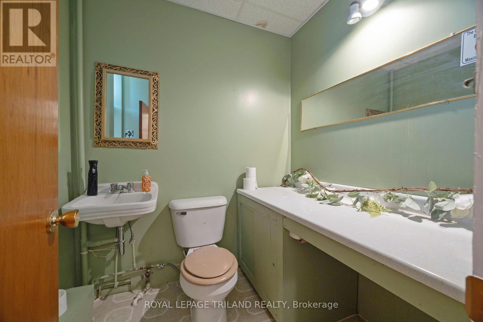 575 Talbot Street, St. Thomas, Ontario  N5P 1C5 - Photo 29 - X12996116