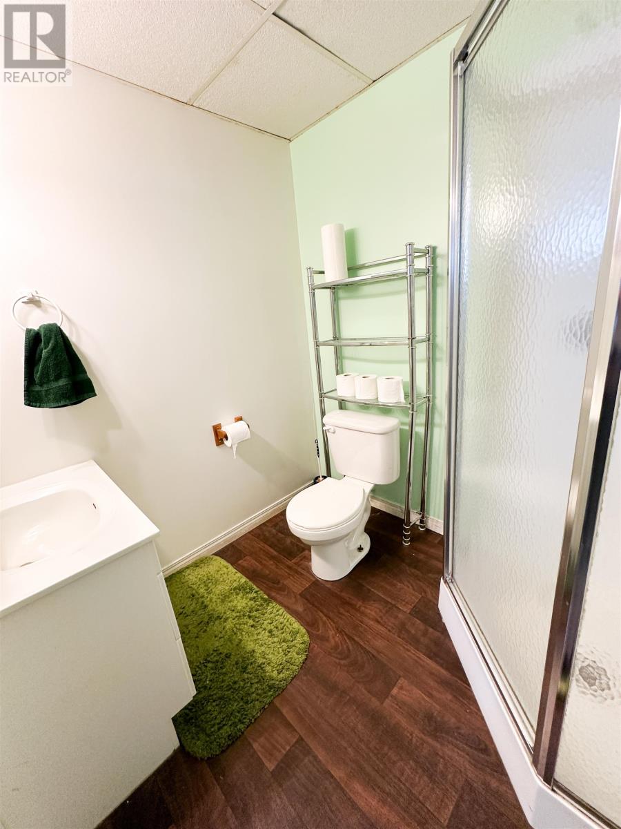 97 Dickenson Rd, Balmertown, Ontario  P0V 1C0 - Photo 18 - TB2600556