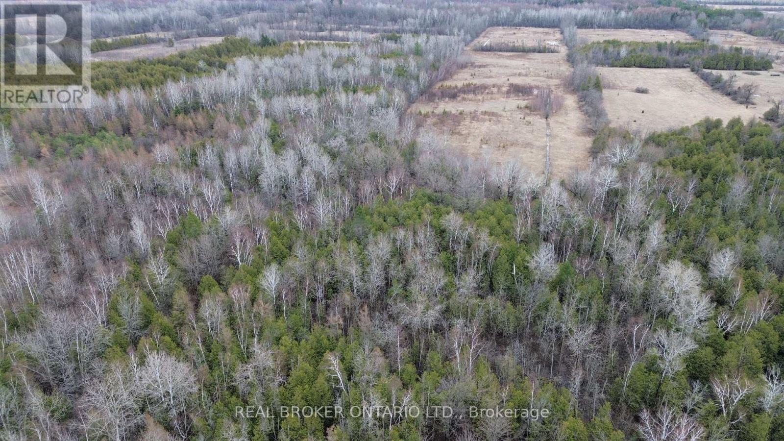 Lot 1 Kennedy Road, North Grenville, Ontario K0G 1J0 - Photo 4 - X12995982