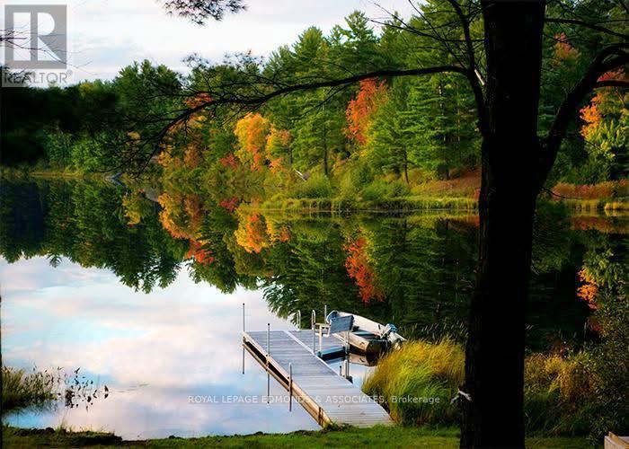 768 Airport Road, Petawawa, Ontario K8A 6W7 - Photo 4 - X12973286