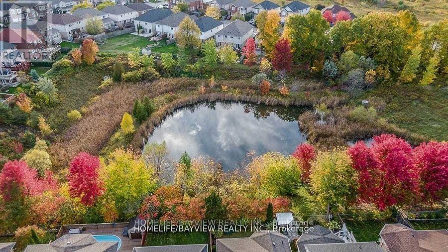 Lower - 644 Mcbean Avenue, Newmarket, Ontario  L3X 2J5 - Photo 11 - N12995964