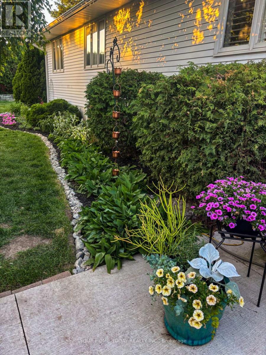 31 Chelvin Drive, Halton Hills, Ontario  L7G 4P8 - Photo 44 - W12996236