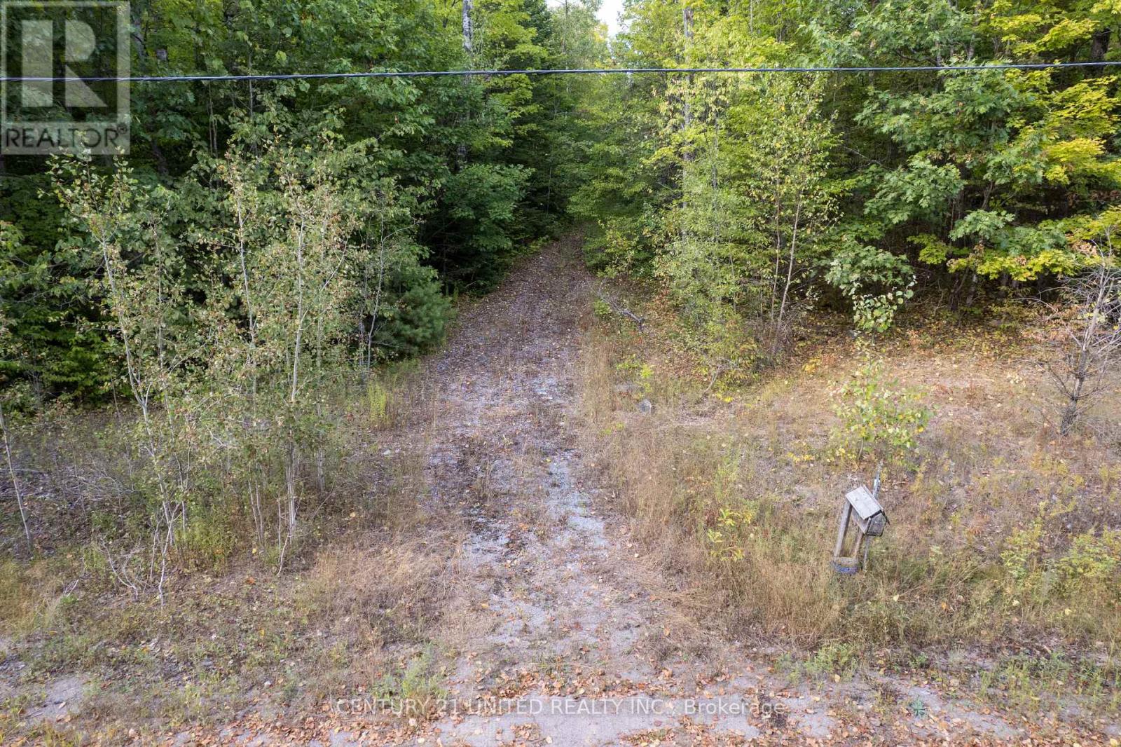 23 Rusaw Road, North Kawartha, Ontario K0L 1A0 - Photo 10 - X12996342